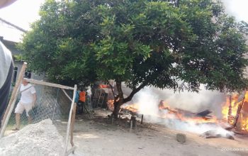 Diduga Korsleting Listrik, Rumah Warga di Desa Banyuasin Riau Silip Ludes Dilalap Sijago Merah