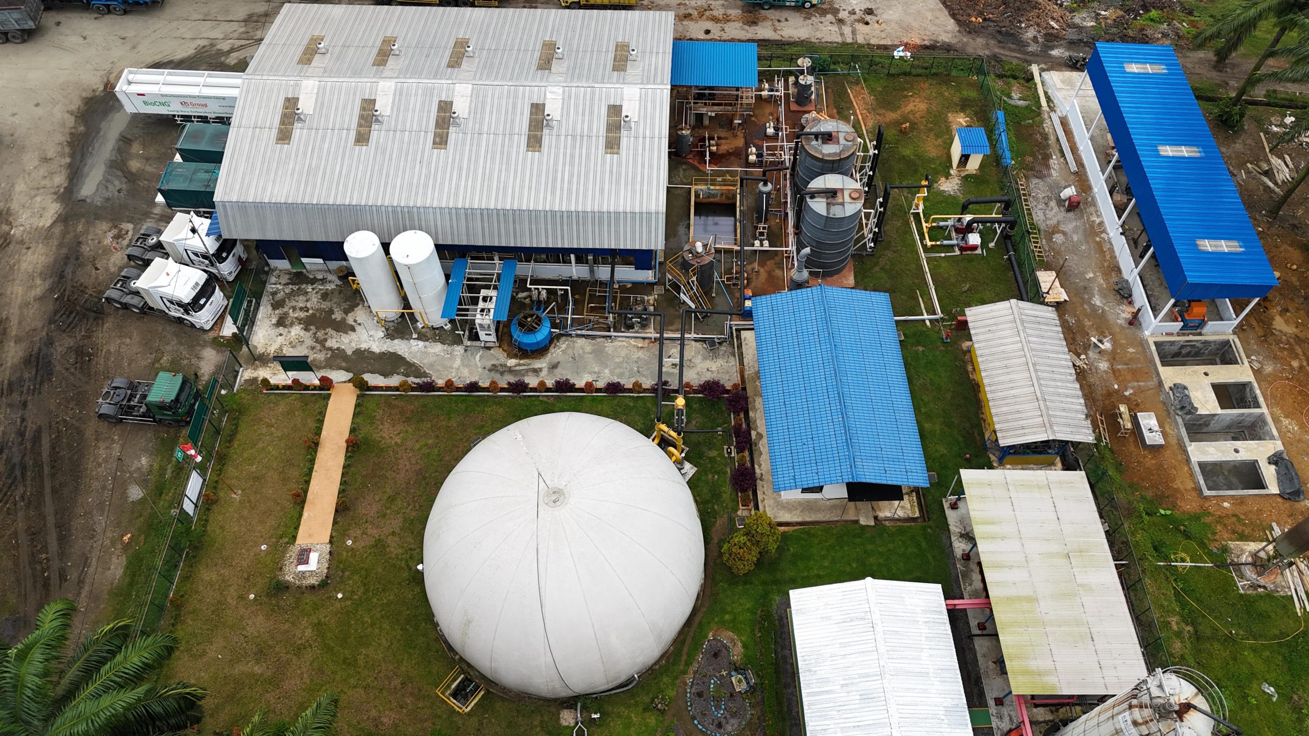 Perdana, PLN Ubah Limbah Sawit Jadi Listrik di Belawan