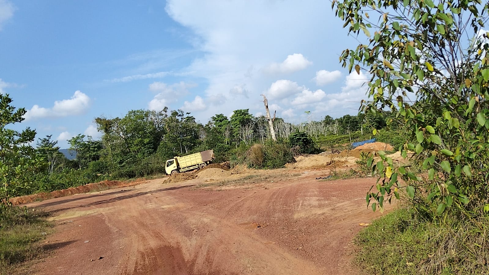 Warga Sebut Milik JG! Tanah Diduga Bertimah Dibawa ke Baher, Diduga untuk Ditambang