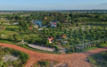 PT Timah Sulap Lahan Bekas Tambang Jadi Kawasan Produktif dan Ramah Lingkungan