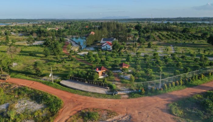 PT Timah Sulap Lahan Bekas Tambang Jadi Kawasan Produktif dan Ramah Lingkungan