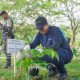 PT Timah Hijaukan Negeri Lewat Program 1000 Pohon