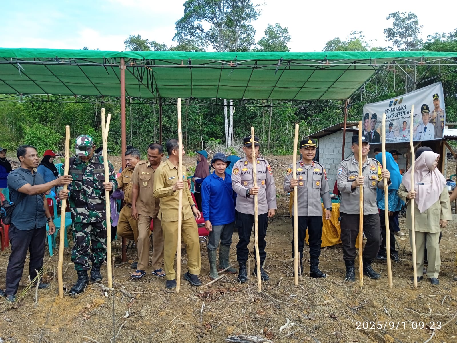 Jagung dari Kundi, Benih Harapan di Tengah Rimbun Sawit