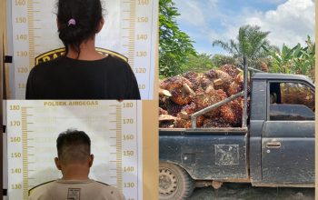 Kepergok Curi Sawit 1,6 Ton di Airgegas, Dua Pria Asal Bangka Tengah Dibekuk Polisi