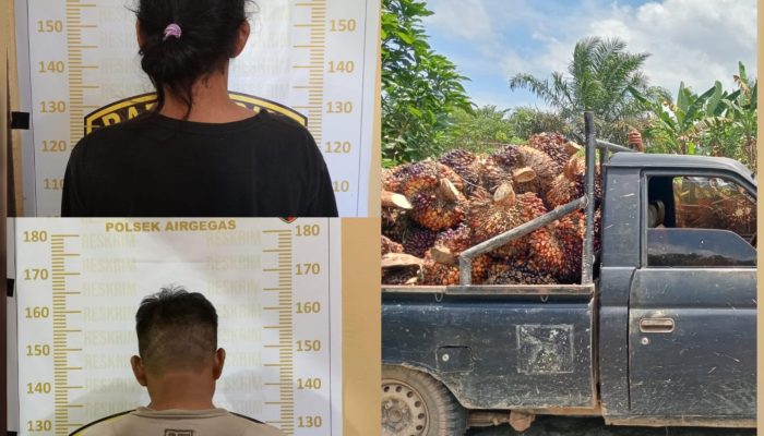 Kepergok Curi Sawit 1,6 Ton di Airgegas, Dua Pria Asal Bangka Tengah Dibekuk Polisi