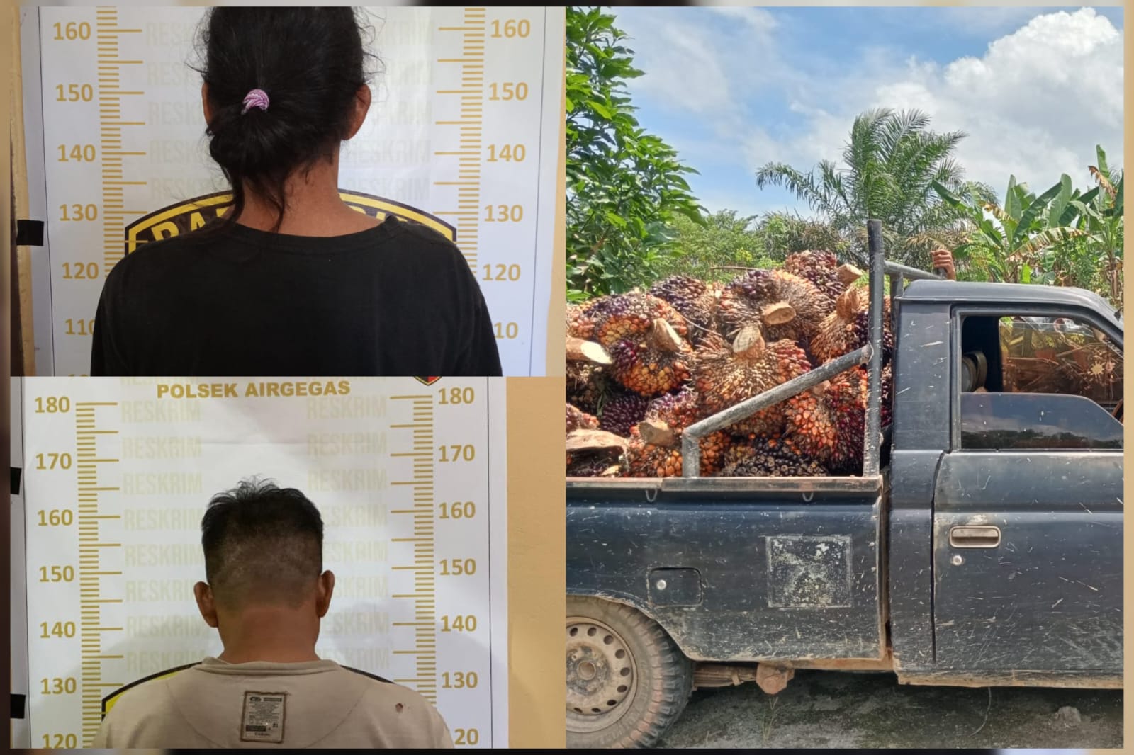Kepergok Curi Sawit 1,6 Ton di Airgegas, Dua Pria Asal Bangka Tengah Dibekuk Polisi