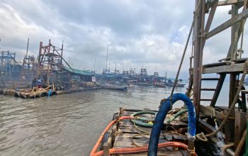 Kenaikan NIUJP PT Timah Tbk Bawa Angin Segar bagi Penambang Rakyat