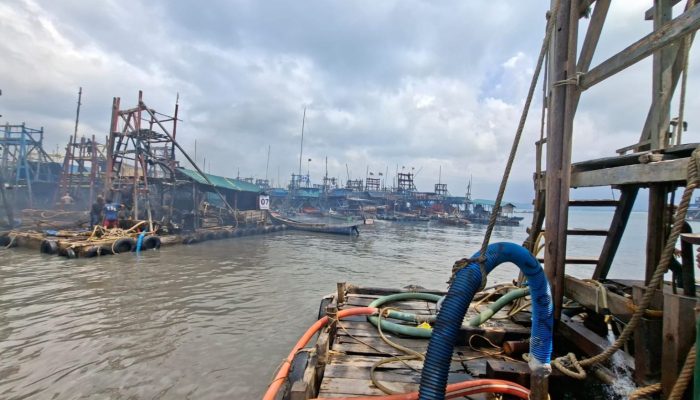 Kenaikan NIUJP PT Timah Tbk Bawa Angin Segar bagi Penambang Rakyat