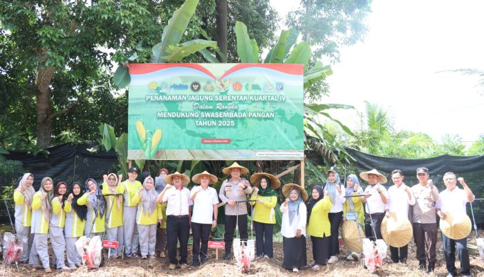 Pj Sekda Bangka Selatan Puji Polres Basel Tanam Jagung Serentak di Desa Keposang