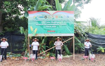 Dukung Program Presiden Prabowo, Polres Basel Tanam Jagung Serentak di Desa Keposang