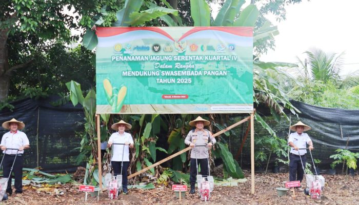Dukung Program Presiden Prabowo, Polres Basel Tanam Jagung Serentak di Desa Keposang