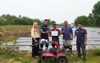 Pasca Dihujani Kritik dan Lemparan Batu, PT Timah Terus Tebar Manfaat untuk Petani Lokal