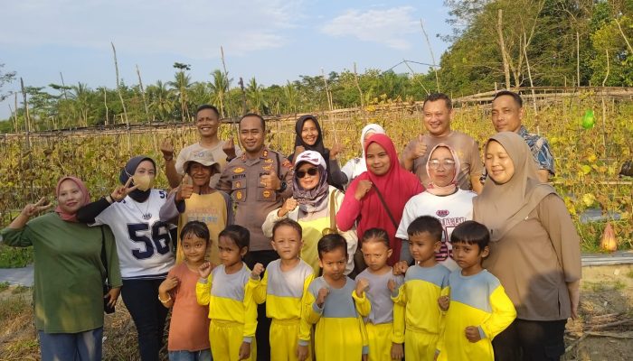 Kapolres Bangka Barat Panen Melon Bareng Petani, Bukti Nyata Polri Dukung Ketahanan Pangan