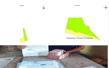 Puluhan Hektare Hutan Produksi di Desa Pergam Diduga Dijual, Bukti Foto Beredar