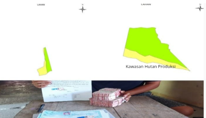 Puluhan Hektare Hutan Produksi di Desa Pergam Diduga Dijual, Bukti Foto Beredar