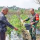 Babinsa Koramil 2306/Mancak Aktif Bantu Warga Melalui Kegiatan Bintahwil