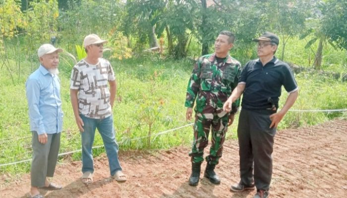 Babinsa Koramil 2303/Pulomerak Laksanakan Komsos Bersama Warga Bahas Potensi Alam dan Keamanan Lingkungan