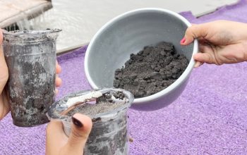 Kualitas Jadi Penentu, Ini Alasan Harga Biji Timah Berbeda di Kalangan Penambang