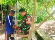 Babinsa Koramil 2302/Bojonegara Laksanakan Kegiatan Karya Bakti di Dua Desa