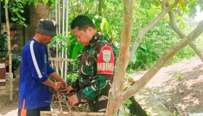 Babinsa Koramil 2302/Bojonegara Laksanakan Kegiatan Karya Bakti di Dua Desa