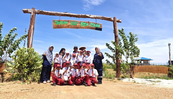Tak Hanya Produktif, Farm Estate PT Timah Jadi Kelas Alam Bagi Pelajar SDN 12 Air Putih Mentok