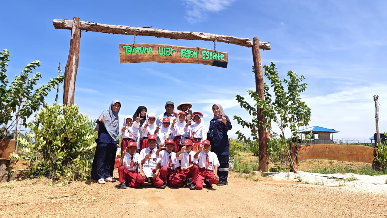 Tak Hanya Produktif, Farm Estate PT Timah Jadi Kelas Alam Bagi Pelajar SDN 12 Air Putih Mentok