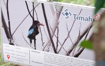 PT Timah Gandeng PPS Alobi Rehabilitasi 112 Satwa Liar di Lahan Bekas Tambang