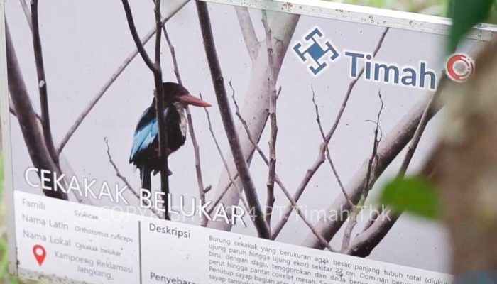 PT Timah Gandeng PPS Alobi Rehabilitasi 112 Satwa Liar di Lahan Bekas Tambang