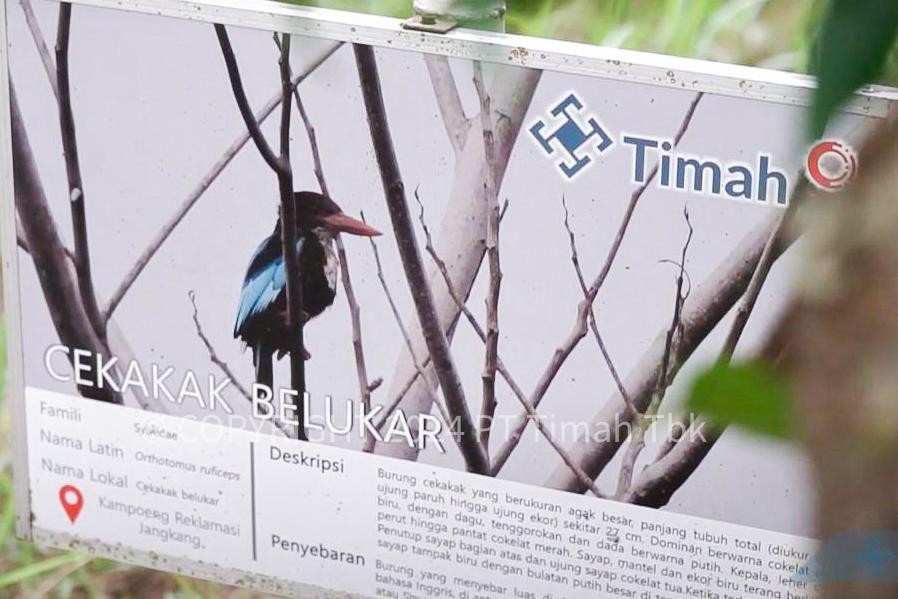 PT Timah Gandeng PPS Alobi Rehabilitasi 112 Satwa Liar di Lahan Bekas Tambang