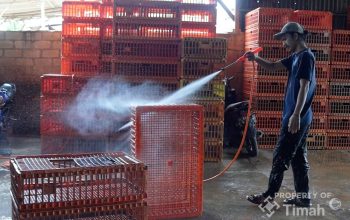 Dorong UMKM Naik Kelas, PT Timah Bantu Mesin Steam ke Pengusaha Ayam Potong di Pangkalpinang