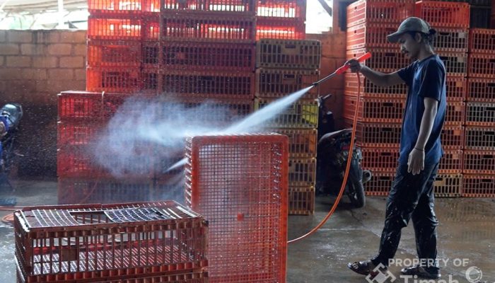Dorong UMKM Naik Kelas, PT Timah Bantu Mesin Steam ke Pengusaha Ayam Potong di Pangkalpinang