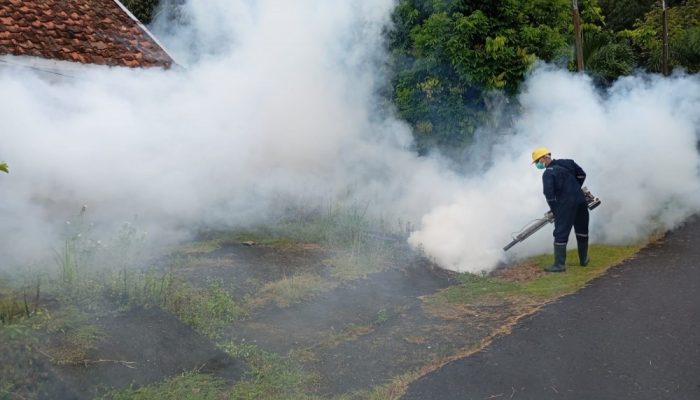 Cegah DBD, PT Timah Tbk Lakukan Fogging Hingga Sosialisasikan 3M