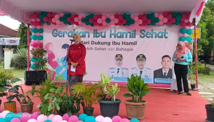 Pemkot Pangkalpinang Gencarkan Gerakan Ibu Hamil Sehat Tekan Stunting