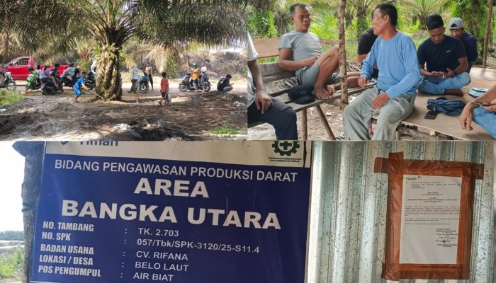 Sawit, Timah, dan Rakyat yang Terhimpit di Bawah Bayangan HGU dan IUP