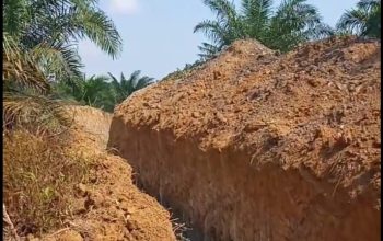 Penggalian Parit Gajah PT BPL di Kelapa Tuai Polemik dan Protes Warga