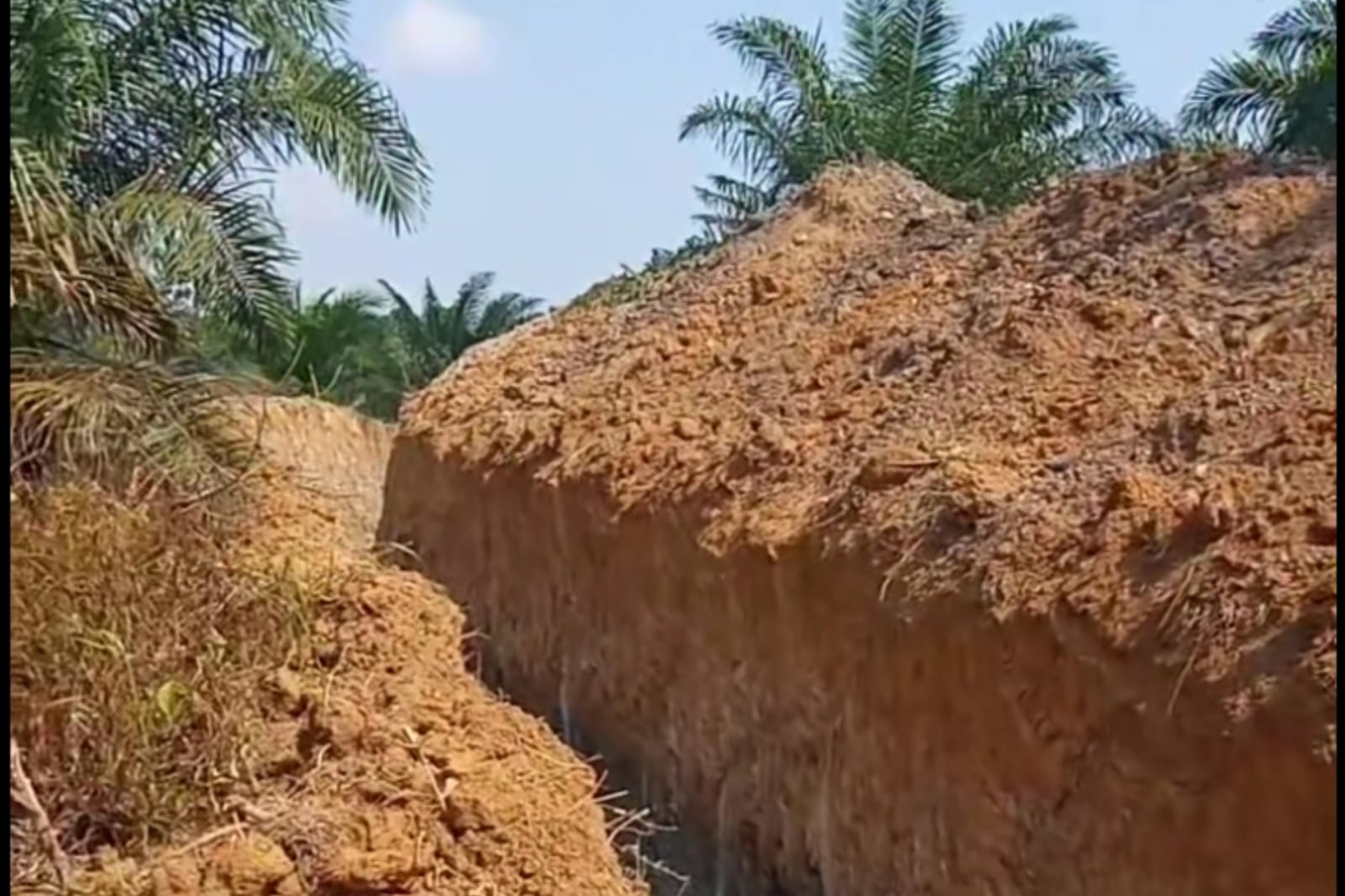 Penggalian Parit Gajah PT BPL di Kelapa Tuai Polemik dan Protes Warga