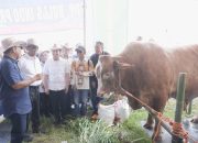 Buka Festival Peternak di Jember, Muzani dan Mentan Amran Tegaskan Komitmen Dukung Peternak dan Ketahanan Pangan