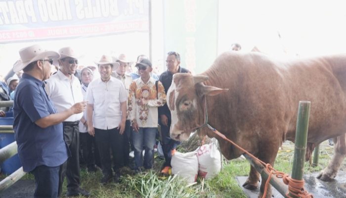 Buka Festival Peternak di Jember, Muzani dan Mentan Amran Tegaskan Komitmen Dukung Peternak dan Ketahanan Pangan