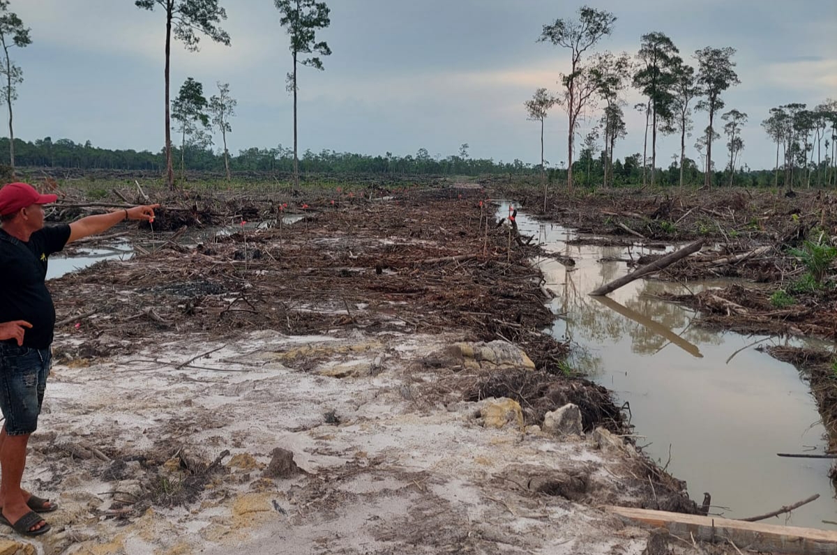Terkuak! Lahan Rawa Aik Kelaban Desa Pergam Dibabat, Tapi yang Dipermasalahkan Aik Kemis