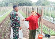 Babinsa Koramil 2301/Cilegon Laksanakan Kegiatan Bintahwil Bersama Kelompok Tani