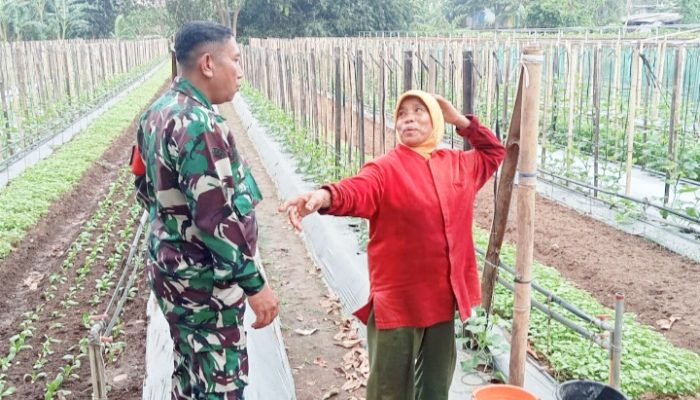 Babinsa Koramil 2301/Cilegon Laksanakan Kegiatan Bintahwil Bersama Kelompok Tani