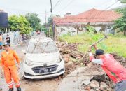 Hujan Deras Picu Tembok Roboh di Jombang Wetan, PMI Cilegon Bergerak Cepat Lakukan Asesmen