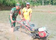 Babinsa Koramil 2306/Mancak Laksanakan Giat Bintahwil, Dampingi Warga Olah Lahan Ketapang