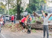 Koramil 2305/Cinangka Gelar Kegiatan Karya Bakti di Wilayah Kecamatan Cinangka