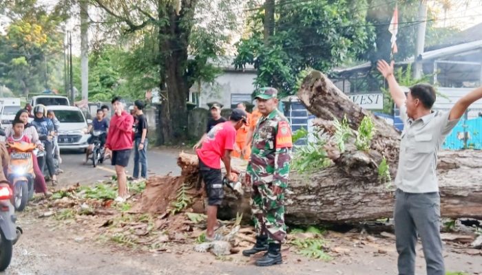 Koramil 2305/Cinangka Gelar Kegiatan Karya Bakti di Wilayah Kecamatan Cinangka
