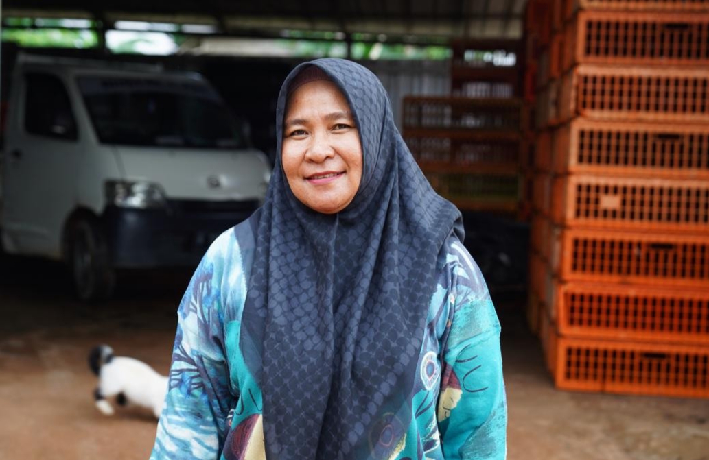 Sempat Bangkrut, Usaha Ayam Potong Mitra Binaan PT Timah Kini Mampu Jual Ribuan Ekor per Hari