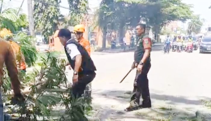 Babinsa Koramil 2301/Cilegon Laksanakan Kegiatan Puanter Terkait Kebakaran dan Pohon Tumbang