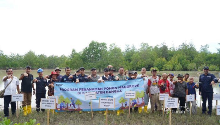 Perkuat Ekosistem Pesisir, PT Timah Tanam 5.000 Mangrove di Pantai Rebo Bangka