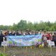 Perkuat Ekosistem Pesisir, PT Timah Tanam 5.000 Mangrove di Pantai Rebo Bangka