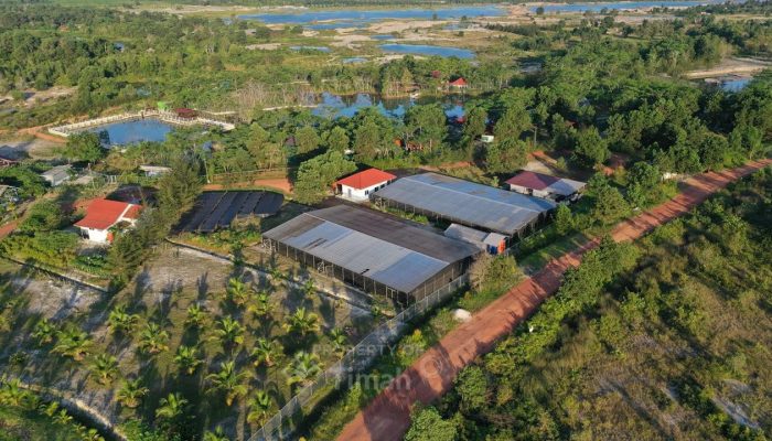 PT Timah Dorong Pemulihan Lingkungan Lewat Reklamasi dan Penanaman Mangrove